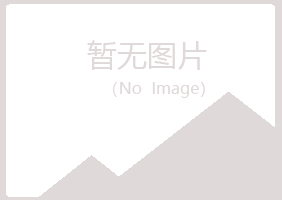 乌苏夏岚采矿有限公司